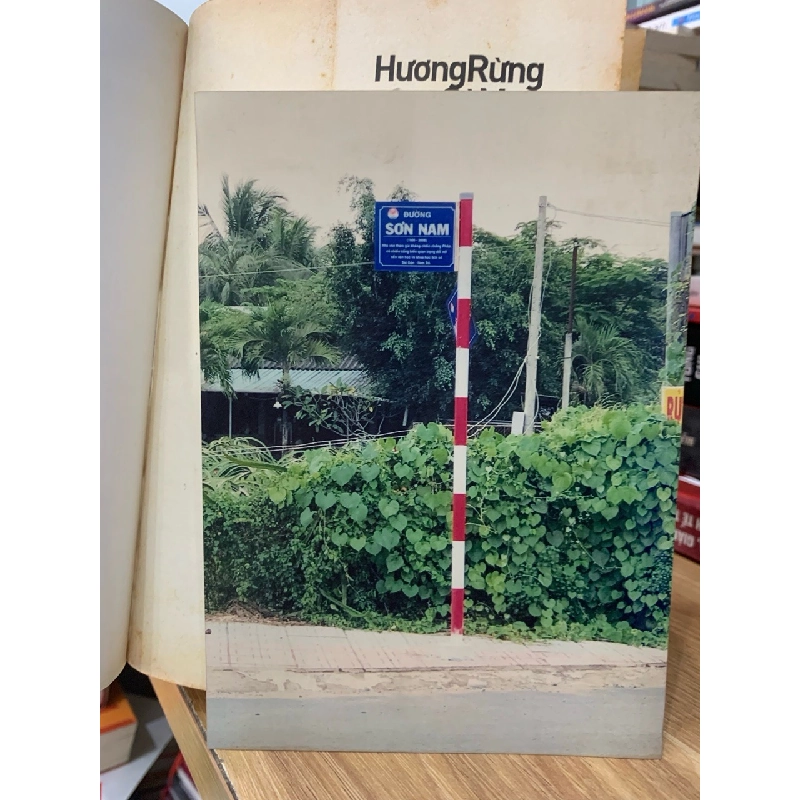 Hương rừng Cà Mau - Sơn Nam 762401