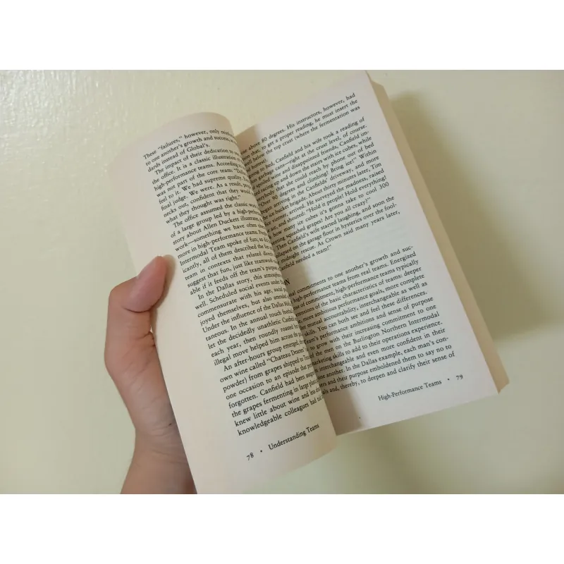 The wisdom of team english book sách tiếng Việt  996019