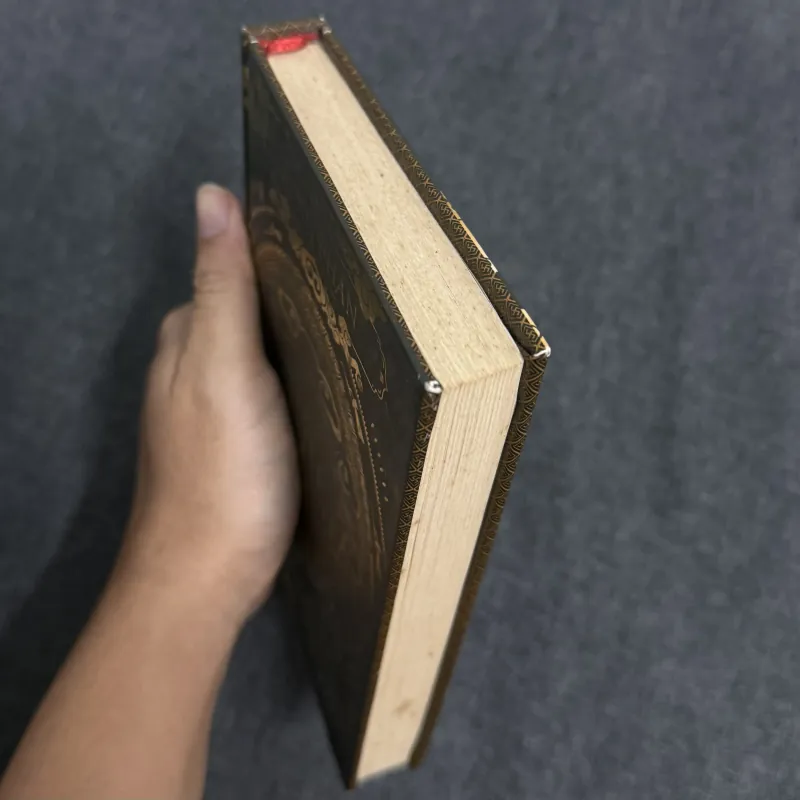 Sử Việt: 12 khúc tráng ca (Bản đặc biệt) - Dũng Phan 1010355