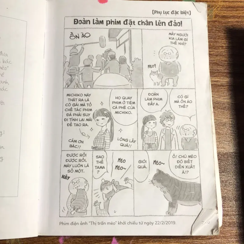 Thị trấn mèo 5 797662