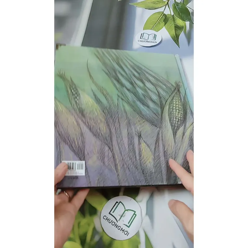 [Tặng nẹp góc] Truyện thiếu nhi Hàn Quốc: Moyamo Anu 23 -  모야모 아누와: 옥수수 도둑;. 회오리바람 732015