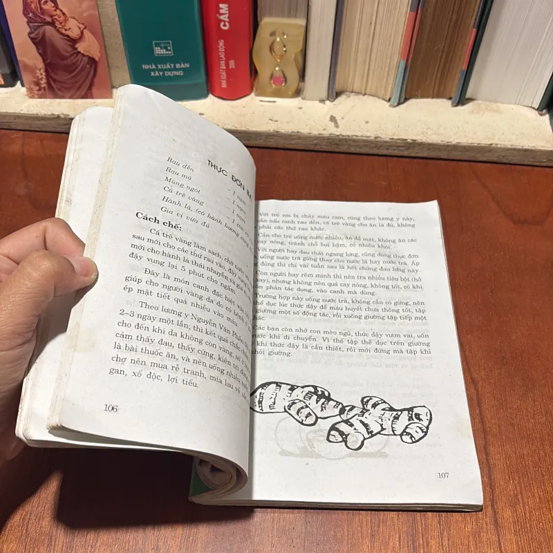 II Tự Chữa Bệnh Trong Gia Đình Bằng Thức Ăn Hằng Ngày - Nguyễn Văn Phấn, Phan Kim Huê 786782