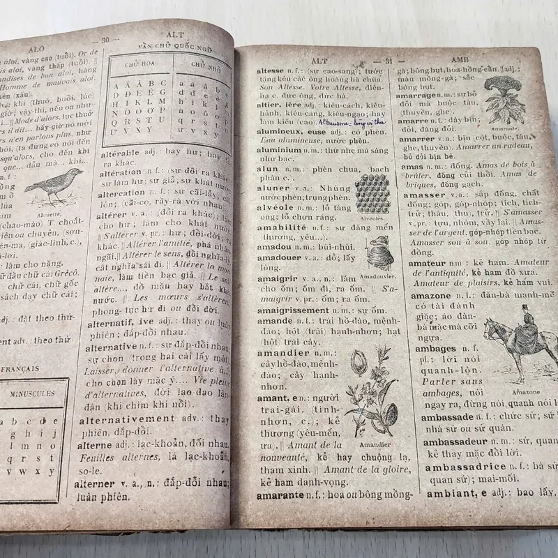 PETIT DICTIONNAIRE FRANCAIS - ANNAMITE
par J.-B.-P TRƯƠNG - VĨNH - KÝ
 1920 562054