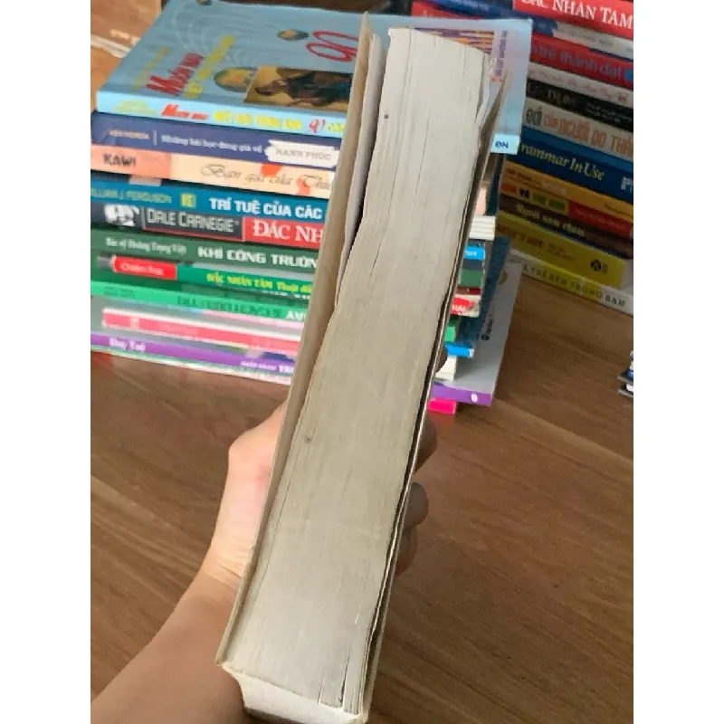 Gió mang ký ức thổi thành những cánh hoa – Diệp Lạc Vô Tâm 561355