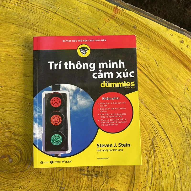 TRÍ THÔNG MINH CẢM XÚC- STEVEN J. STEIN 702053
