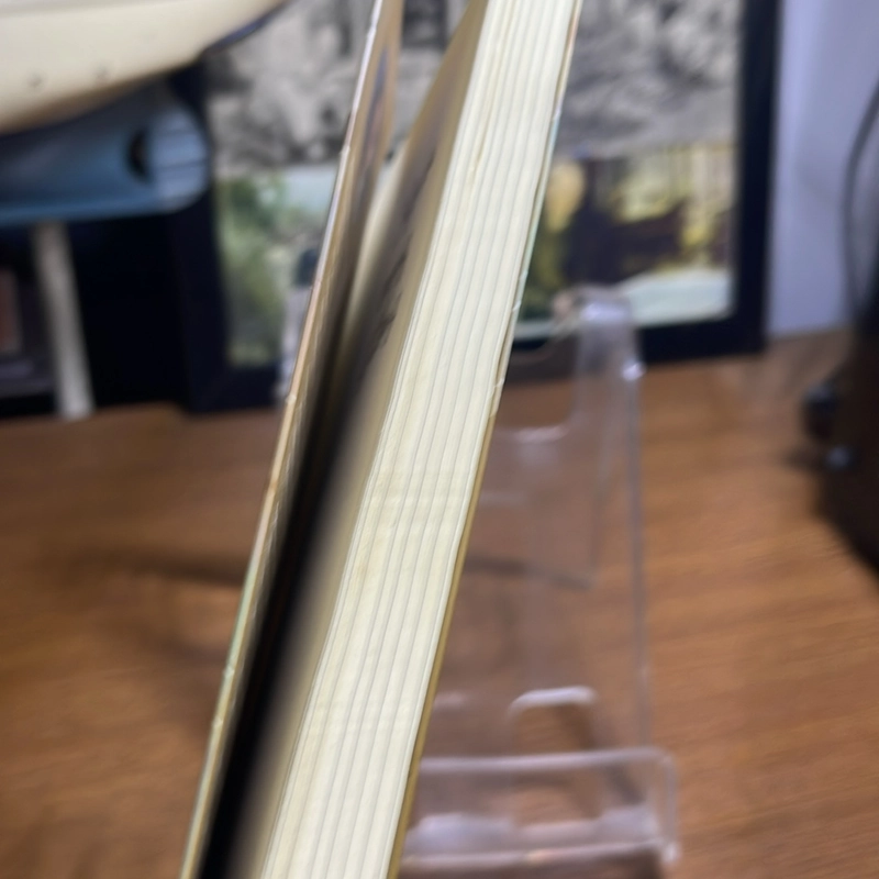 Người trong gương Will Eaves 508985