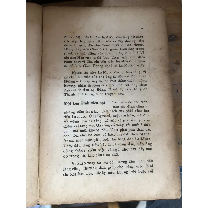 Thánh J. Eymard 1024359