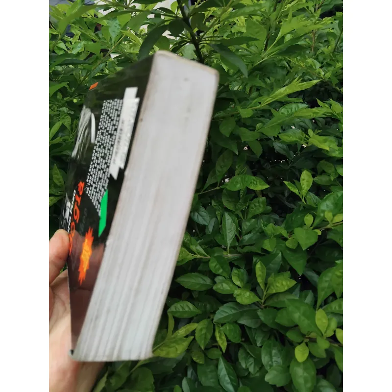 Bố già ( The Godfather ) bản dịch hay nhất của Đặng Phi Bằng  1008252