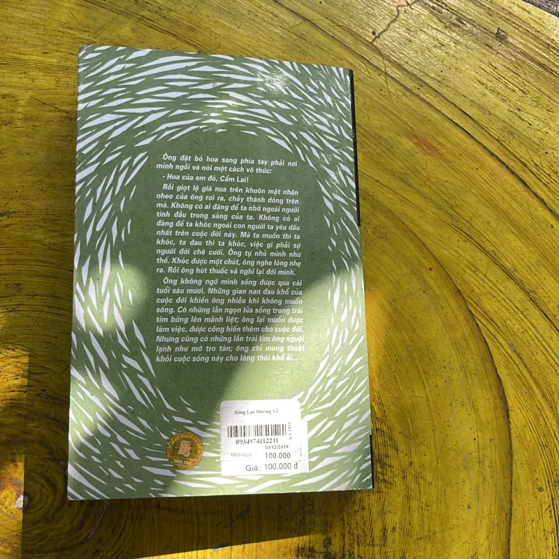 SÔNG LẠC ĐƯỜNG VỀ - VŨ ĐỨC SAO BIỂN 745223