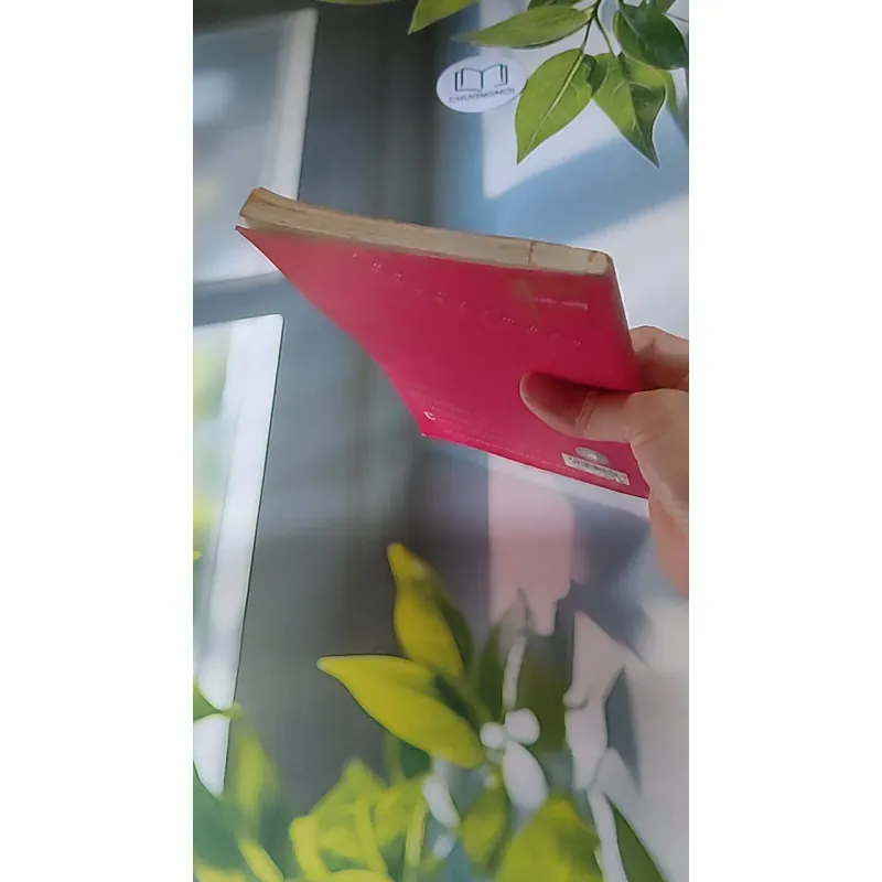 Quà tặng của cuộc sống (2004) 607741