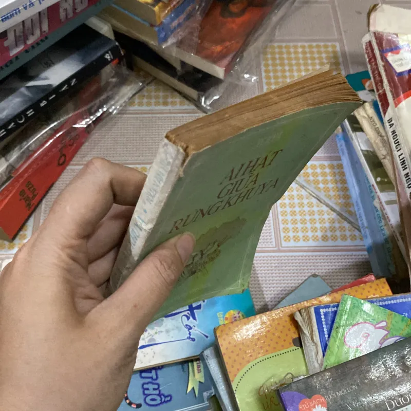 Ai hát giữa rừng khuya của tác giả Tchya 1011511