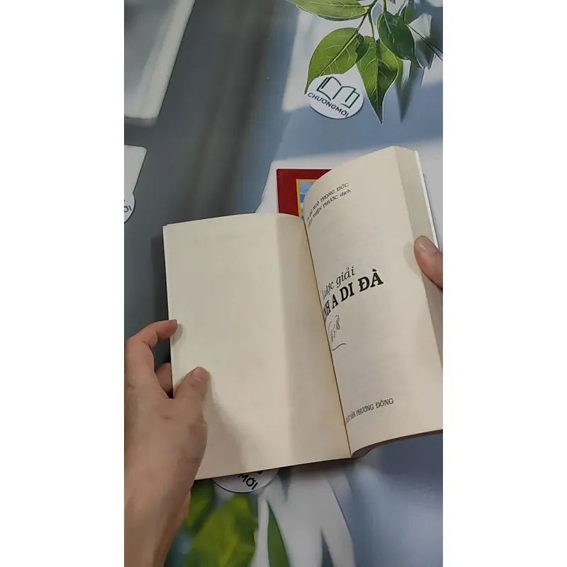 Lược Giải Kinh A Di Đà (Tặng Kinh A Di Đà Nghĩa) - Ngô Trọng Đức 776118