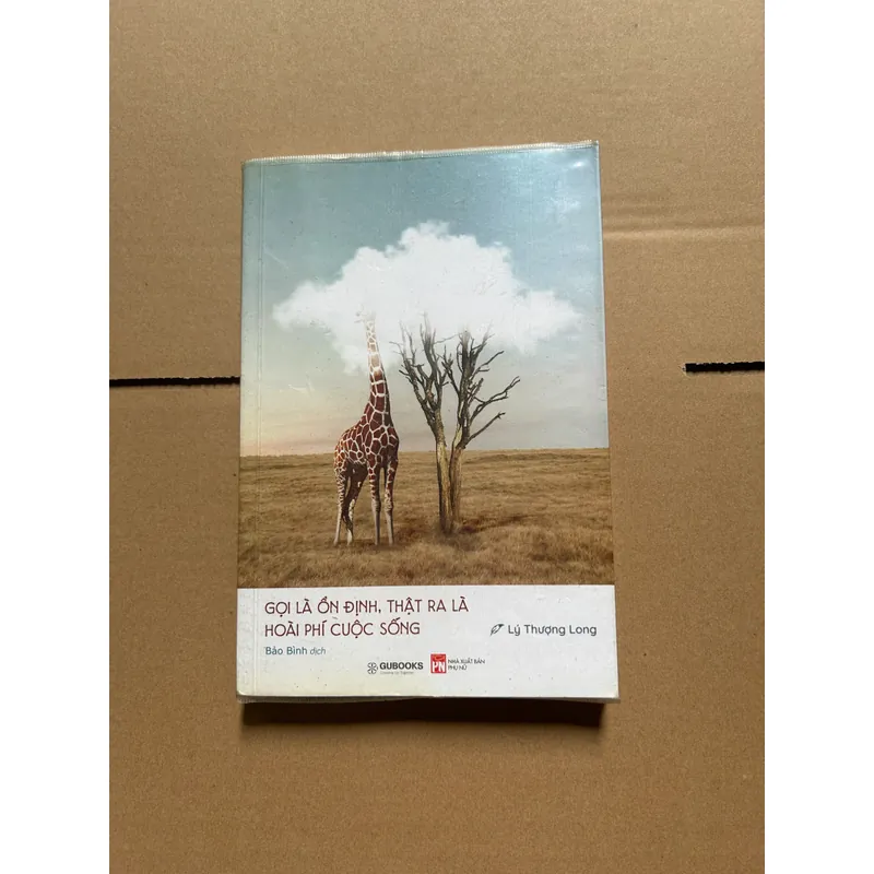 Gọi là ổn định, thật ra là phí hoài cuộc sống 603246