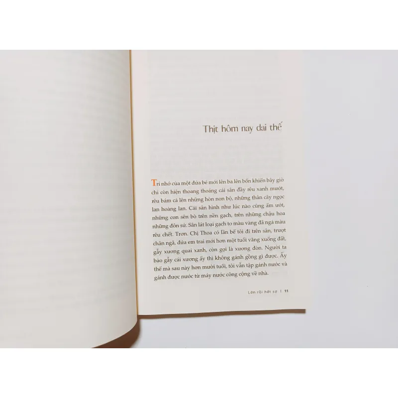 Lớn Rồi Hết Sợ - Hồ Anh Thái 754242