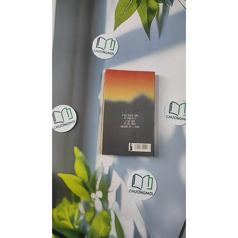 [XƯA] Ly Hôn (1997) 798394