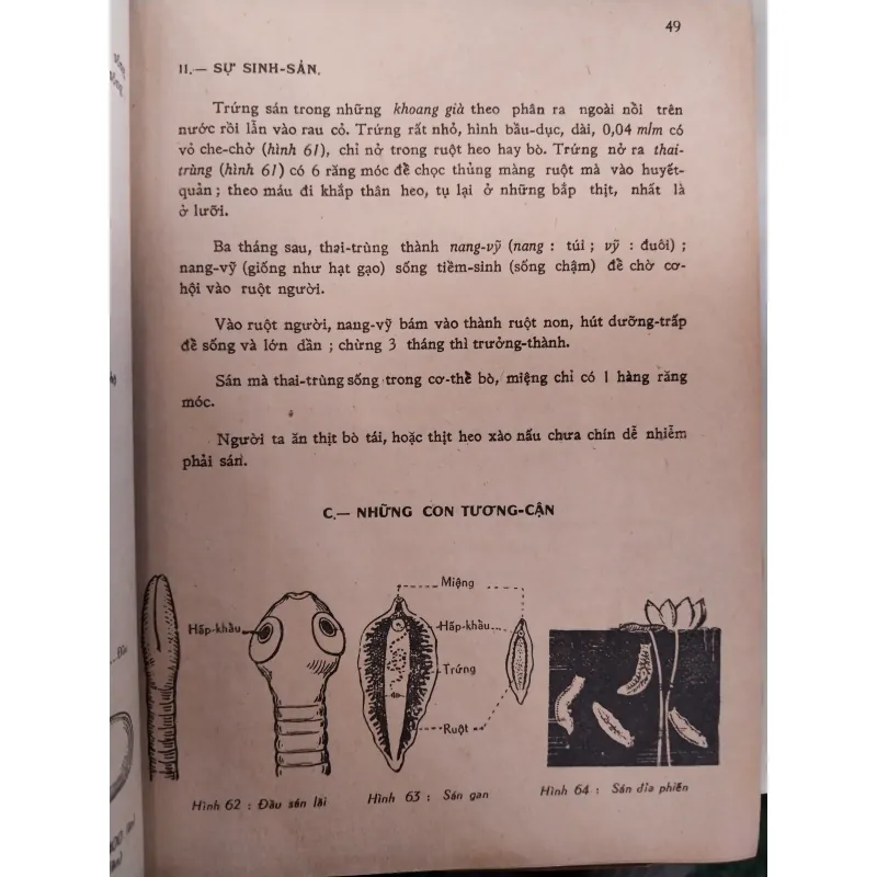 VẠN VẬT HỌC - NGUYỄN LẬP THỎA, LÊ DUY NGHIỆP 997629