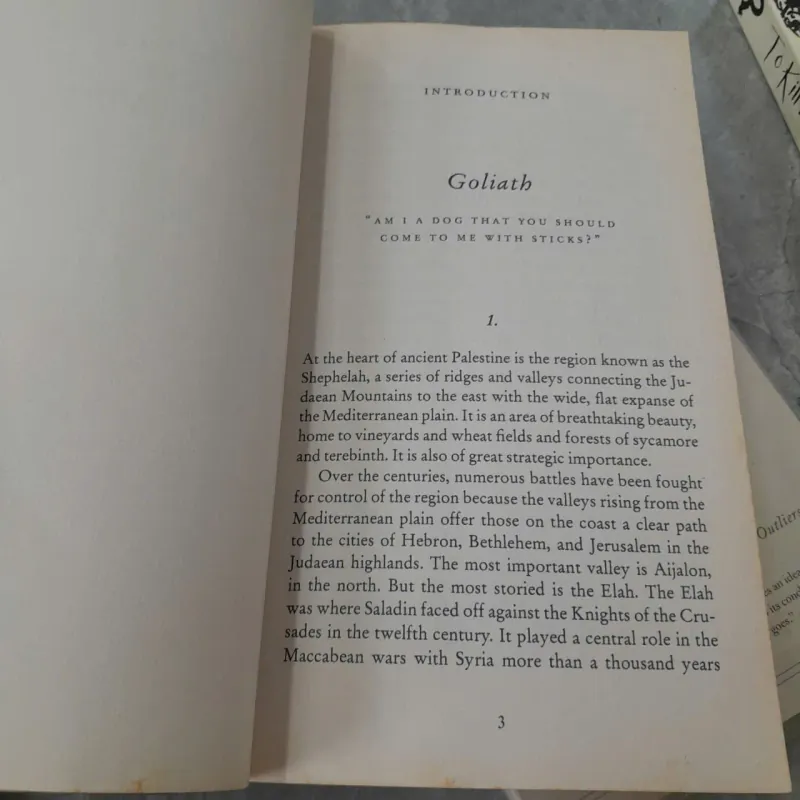 DAVID & GOLIATH - MALCOLM GLADWELL 786949