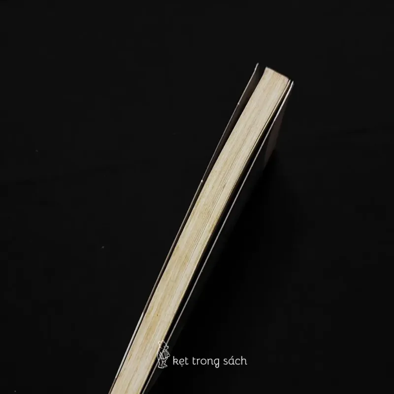 [Sách Cũ] Vân Vy - Thuận 593602