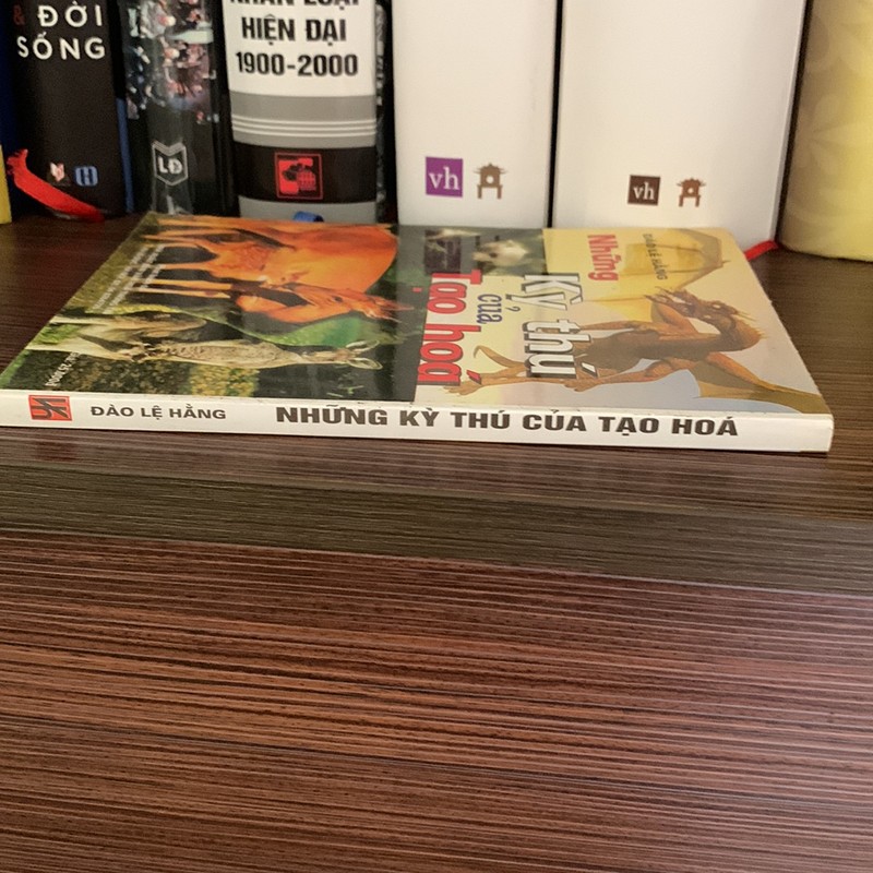 Những Kỳ Thú Của Tạo Hoá 158899