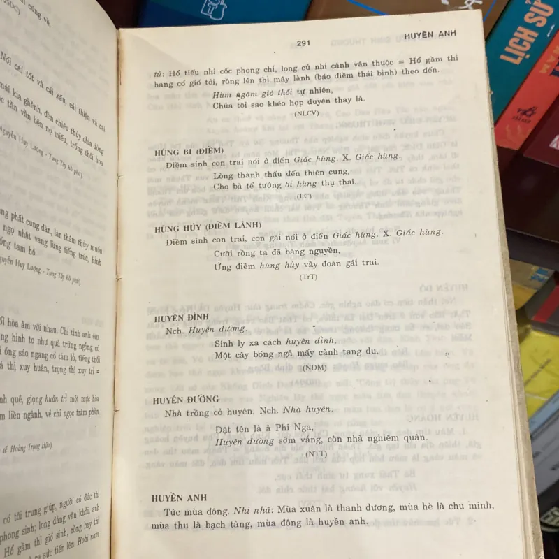 TỪ NGỮ VĂN NÔM, Nguyễn Thạch Giang, bản bìa cứng (XB 1993) 937578