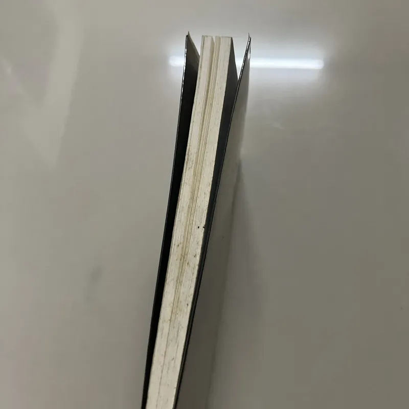 Tôi có quyền huỷ hoại bản thân 572596