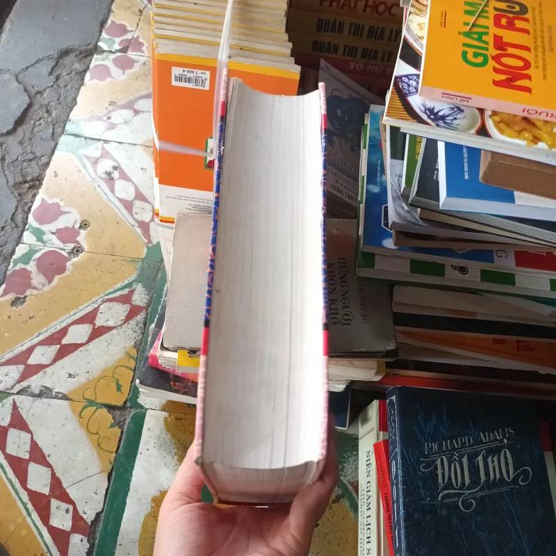 Nguyễn Trãi Toàn Tập 1003099