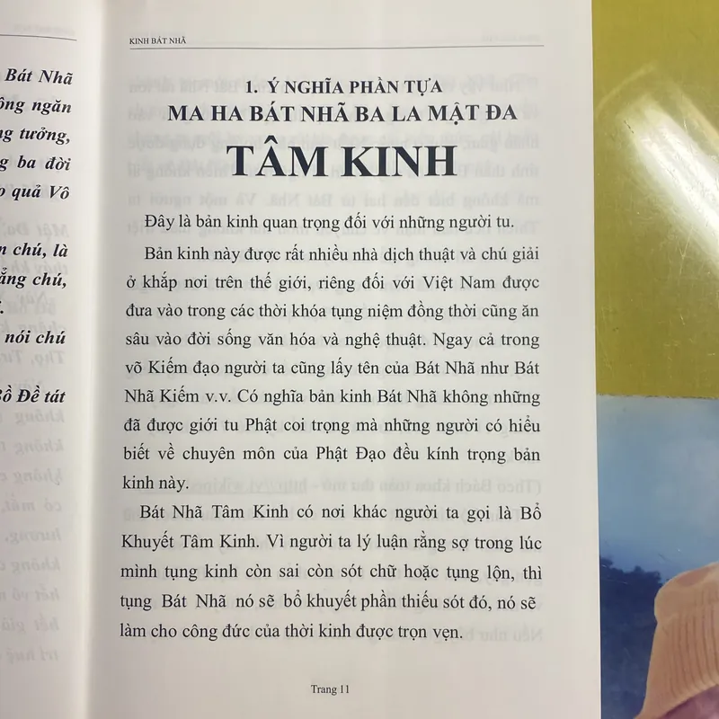 MA HA BÁT NHÃ BA LA MẬT ĐA TÂM KINH - Lược giải Đại Đức Thích Tuệ Hải 674555