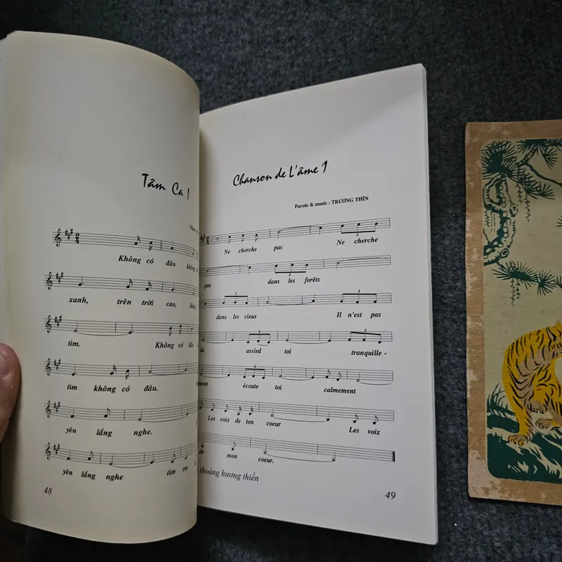 Thoang thoảng hương thiền 736615