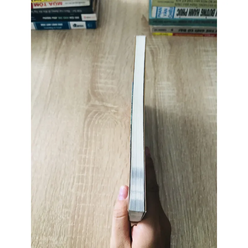 THẮP SÁNG ĐÈN CHÂN LÝ 1024349