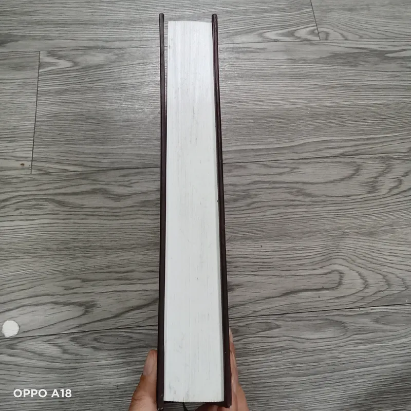 Tiểu Sử Và Hành Trạng Các Nhà Khoa Bảng Hán Học Nam Bộ- Nguyễn Đình Tư  591637