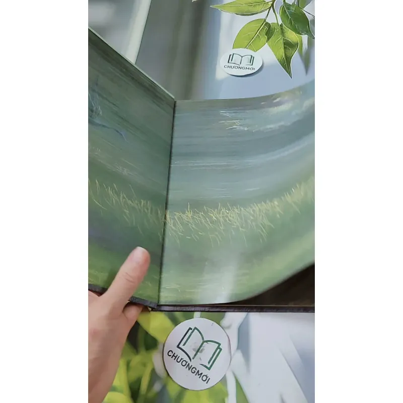 [Tặng nẹp góc] Truyện thiếu nhi Hàn Quốc: Moyamo Anu 23 -  모야모 아누와: 옥수수 도둑;. 회오리바람 732015