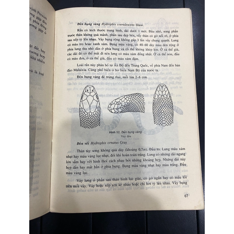 RẮN ĐỘC LỢI VÀ HẠI - Tác giả Võ Văn Chi & Nguyễn Đức Minh 278753