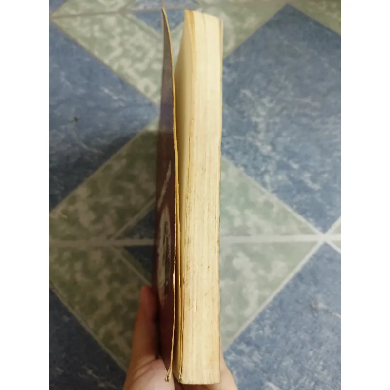 Người tình nhỏ của Trương Phi - Tất Trân 561466