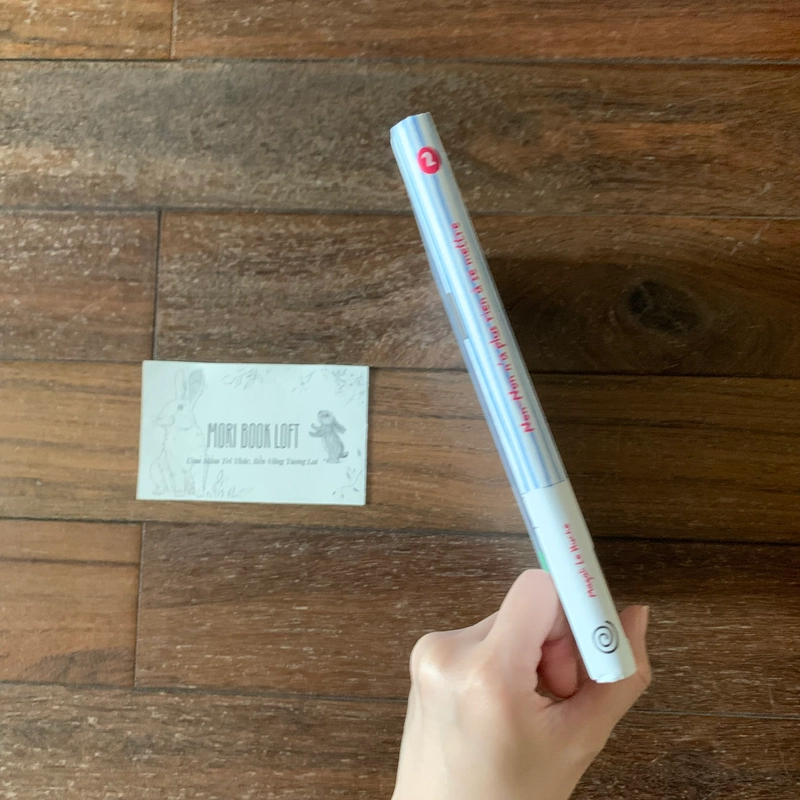 Sách Tiếng Pháp Non-Non n'a plus rien à se mettre – Lift-the-Flap, Used, Bìa cứng 505940