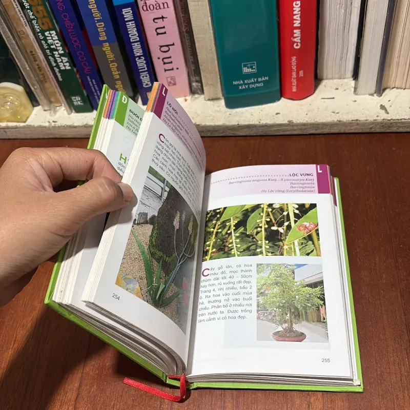 II Cây Cảnh: Từ Điển Tranh Về Các Loài Hoa - Lê Quang Long - 2006 755406