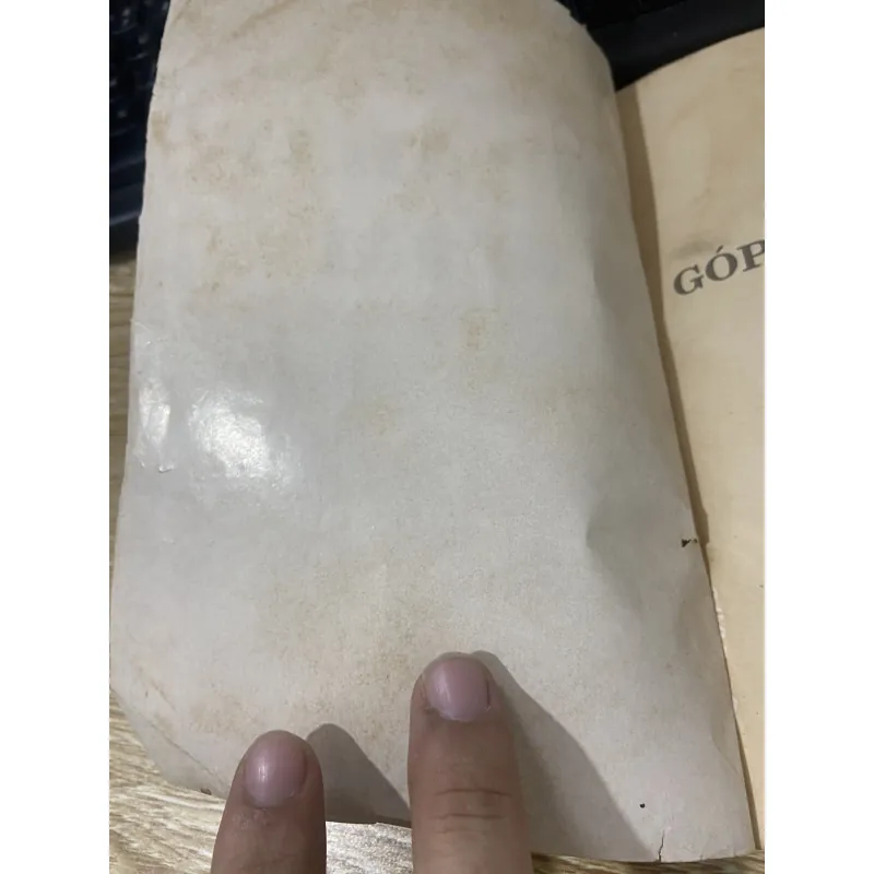 Góp nhặt cát đá - Thiền sư Muju - Lá Bối 747532