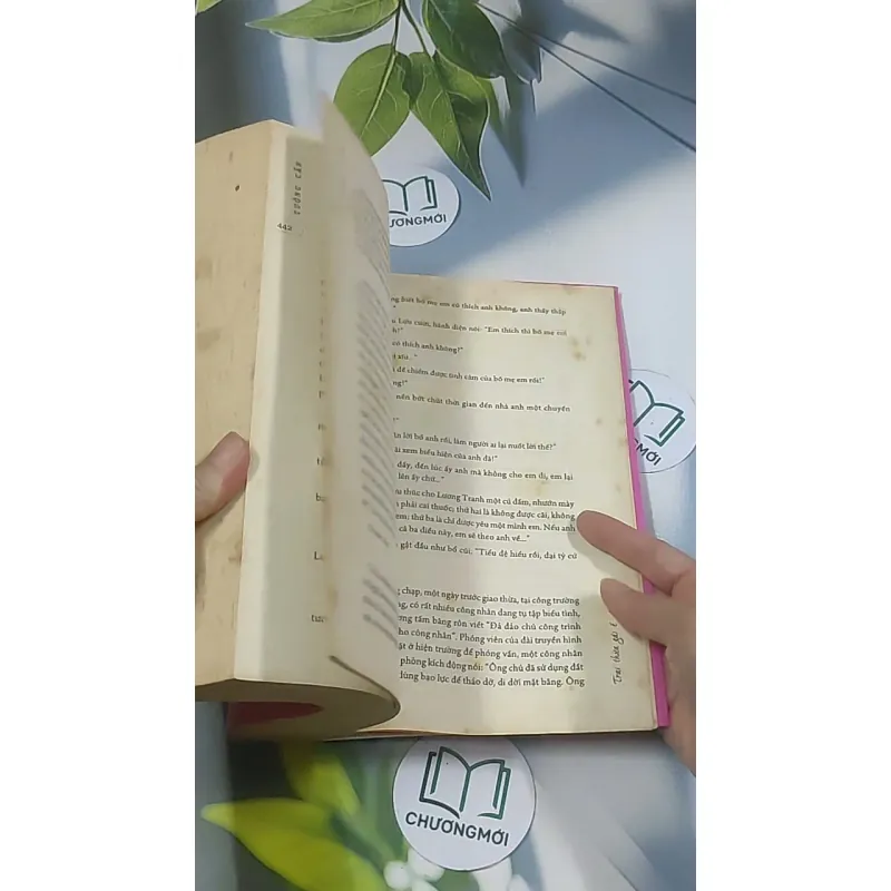 Trai thừa gái ế - Tưởng Cẩn 688606