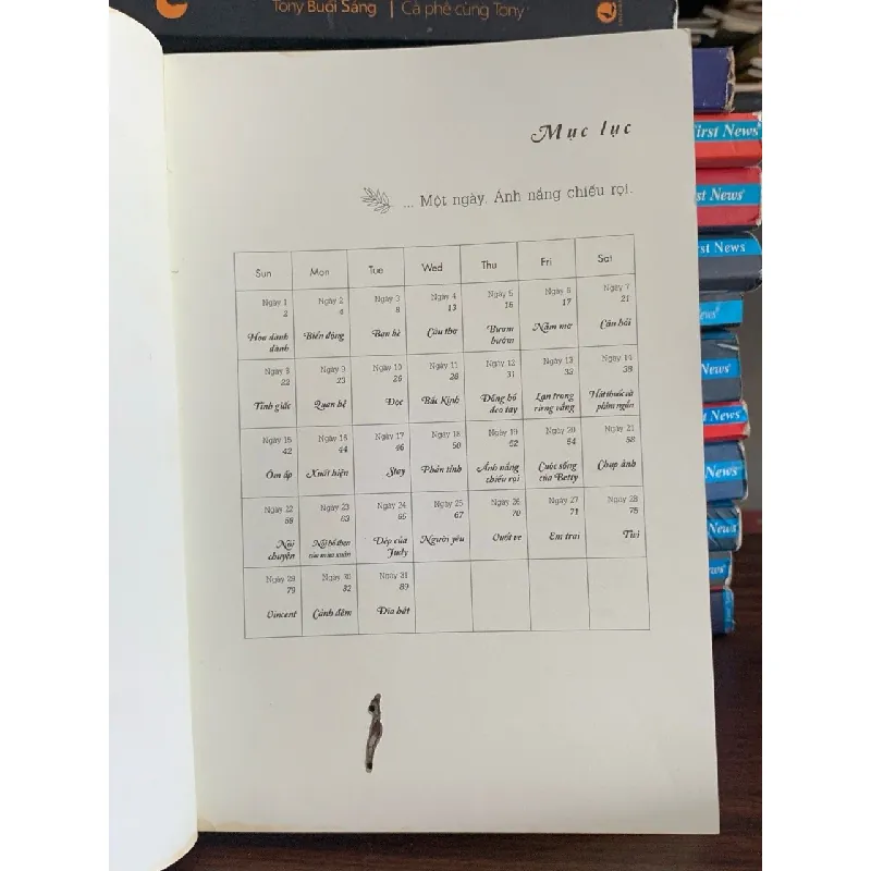 Thanh Tỉnh Kỷ- An Ni Bảo Bối 702212