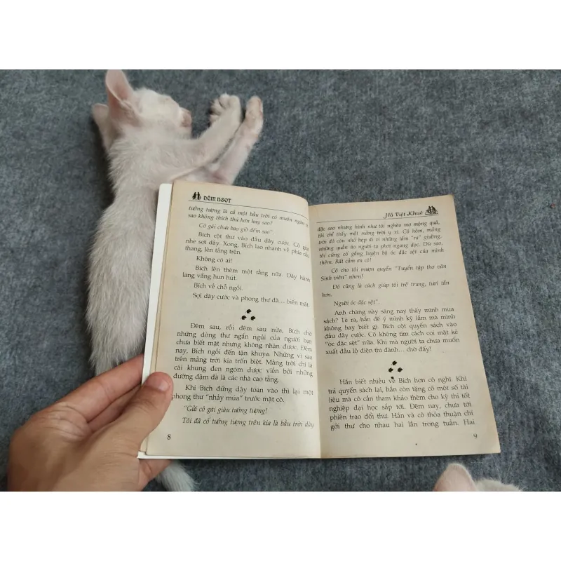 ĐÊM NGỌT - HỒ VIỆT KHUÊ 567796
