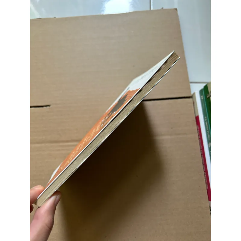 Chuyện con mèo và con chuột bạn thân của nó 789009