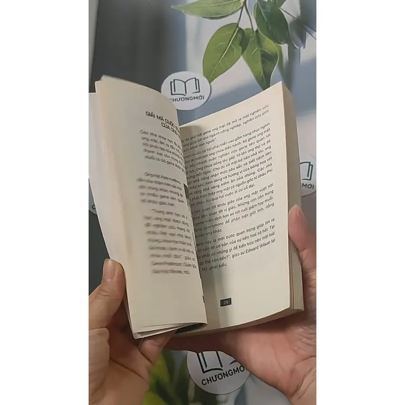 Bí ẩn mãi mãi là bí ẩn 3 688478