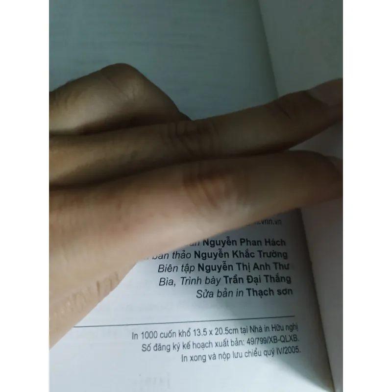 Chỉ tại con chích chòe - Dương Tường 754620