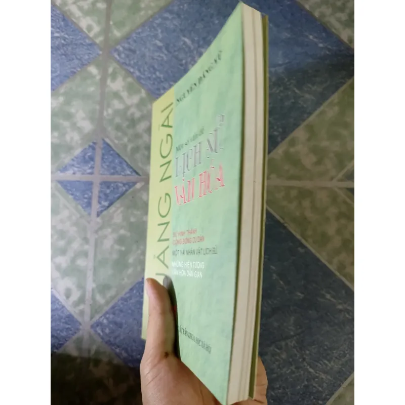 Một số vấn đề lịch sử văn hóa Quảng Ngãi - Nguyễn Đăng Vũ 782632