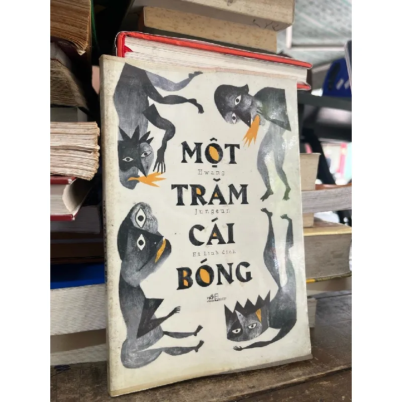 Một trăm cái bóng - Hwang Jungeun 703489