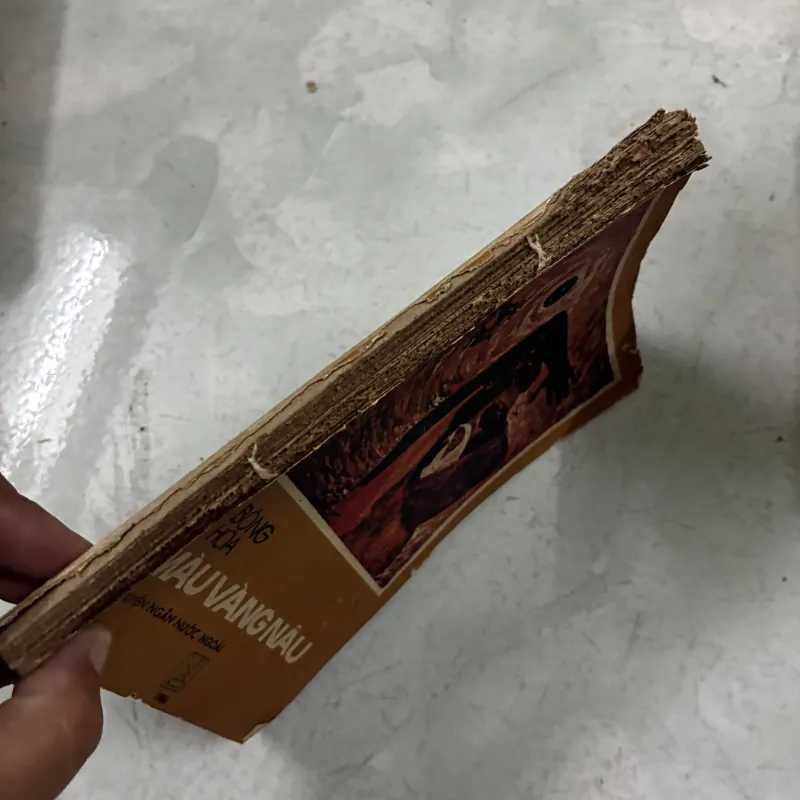 Bông hoa màu vàng nâu 1024807