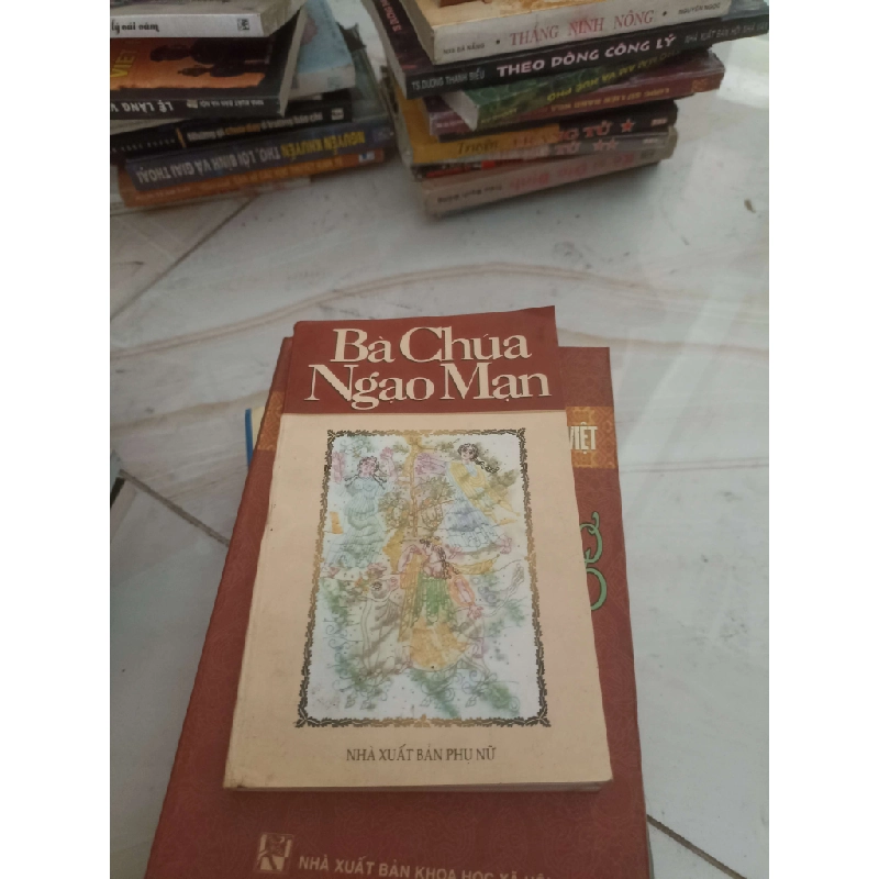 Bà chúa ngạo mạn (Sách văn học) VAVO 1028690