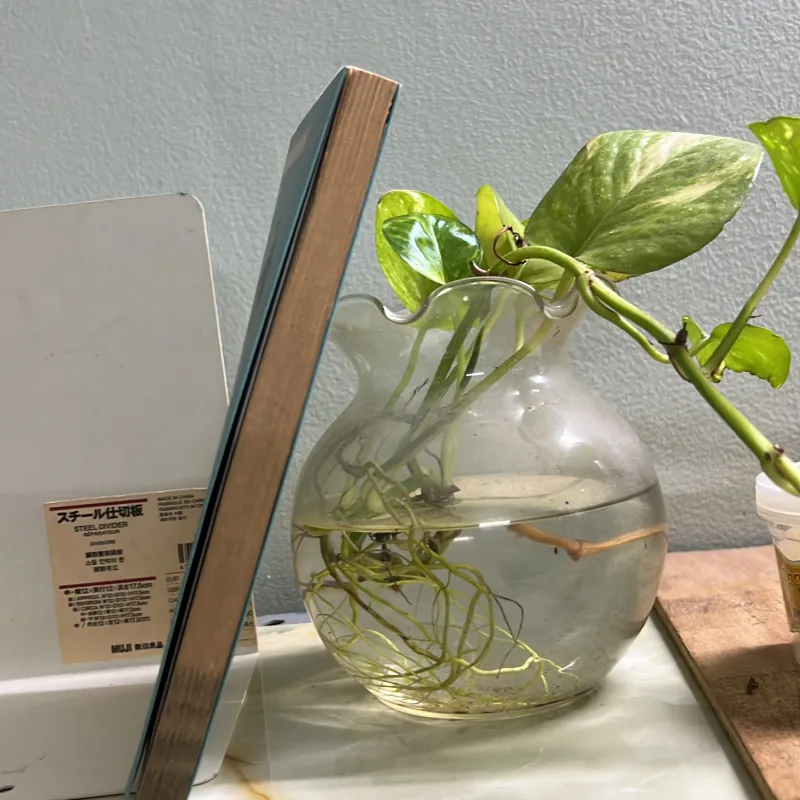 Bảo Bình khó hiểu 762815