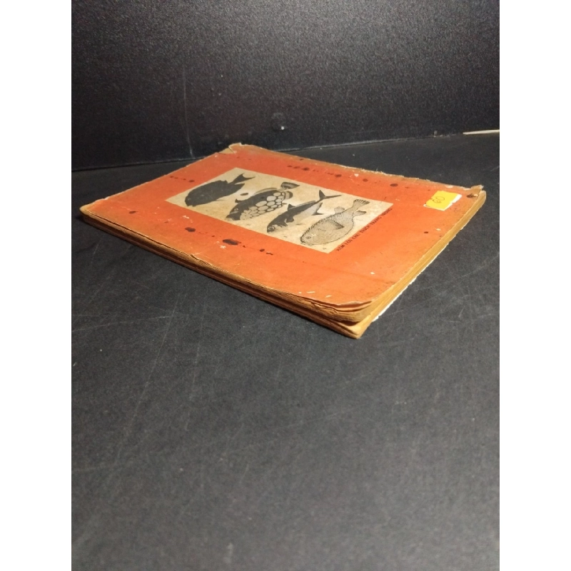 Sinh lý học mới 60% ố vàng, tróc gáy, rách bìa 1974 HCM1001 Tân Học GIÁO TRÌNH, CHUYÊN MÔN 918870