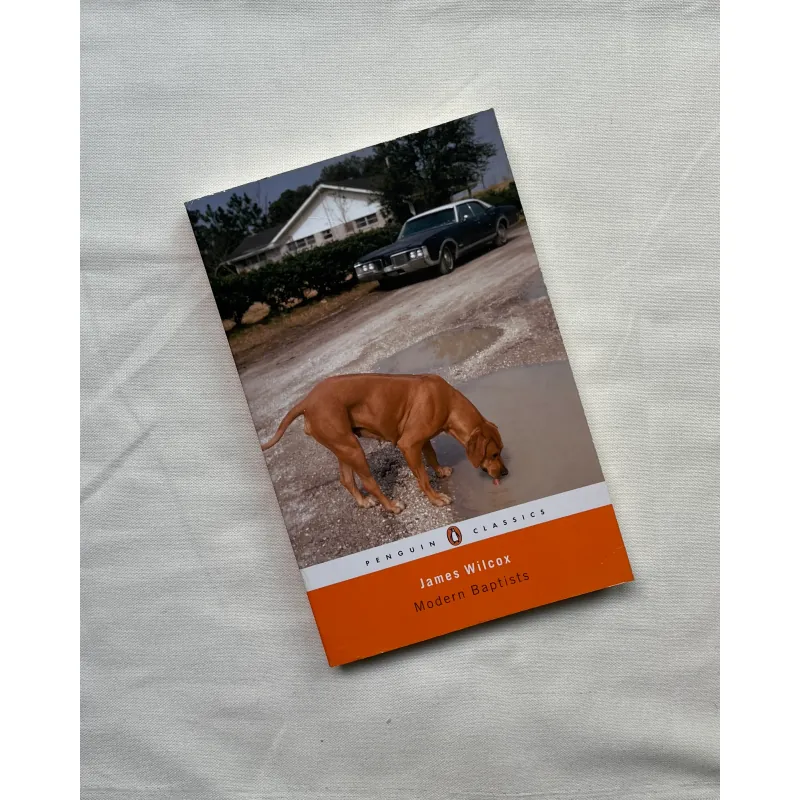 Modern Baptists - James Wilcox 786851