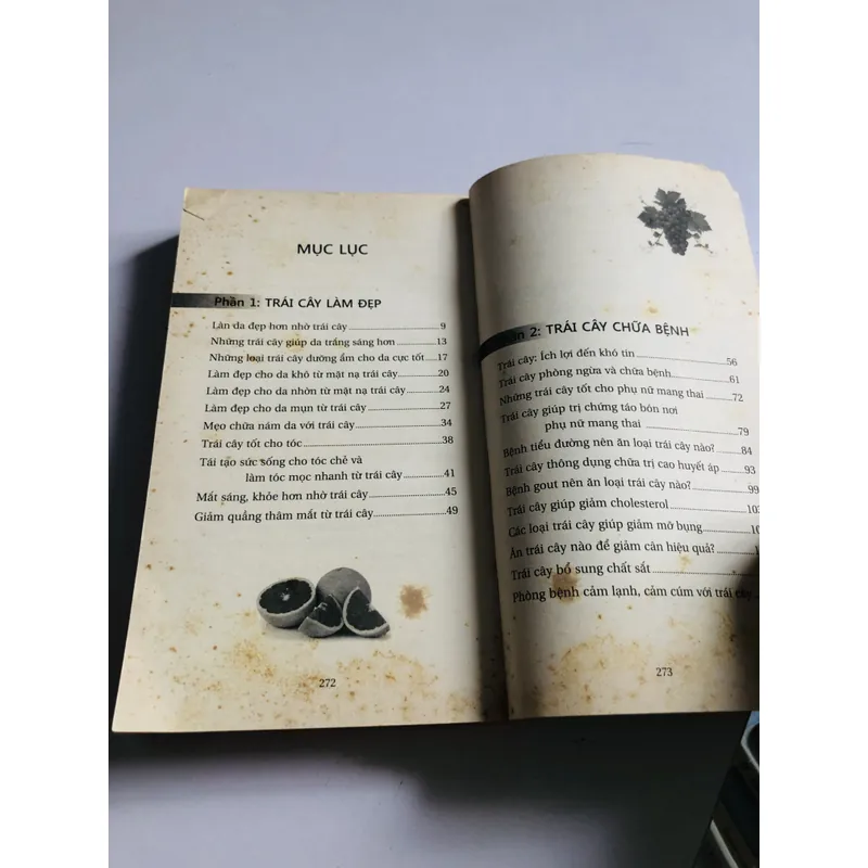 TRÁI CÂY MÓN QUÀ KỲ DIỆU CỦA THIÊN NHIÊN  720892